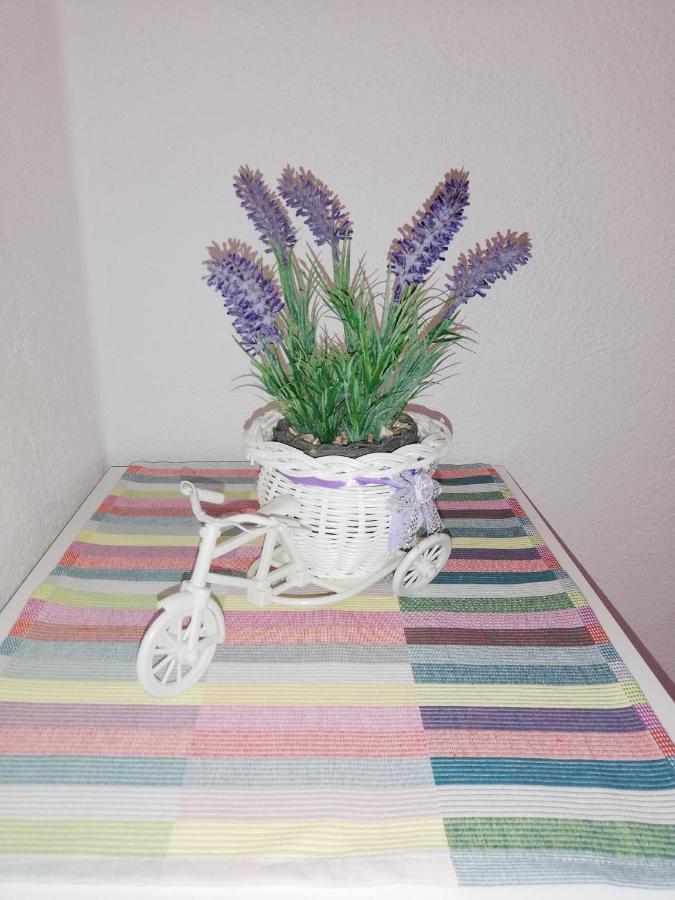 Apartment Pecarevic - A Holiday With A Stunning View Vis Dış mekan fotoğraf