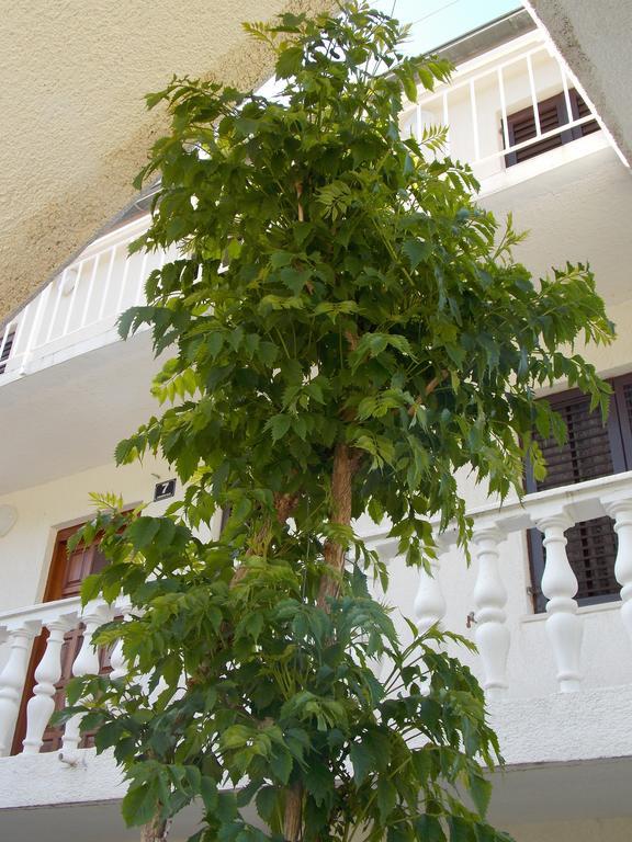 Apartment Pecarevic - A Holiday With A Stunning View Vis Dış mekan fotoğraf